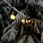 Pedaspae Igloo House And Sauna *