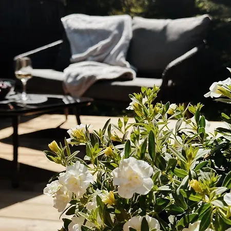 Pedaspae Igloo House And Sauna 펜션