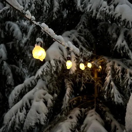 Pedaspae Igloo House And Sauna *