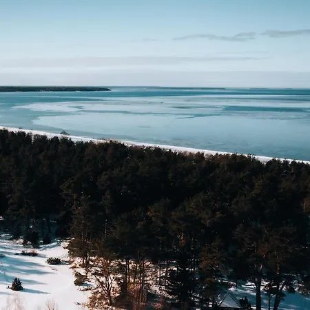 Pedaspae Igloo House And Sauna * Pedaspea