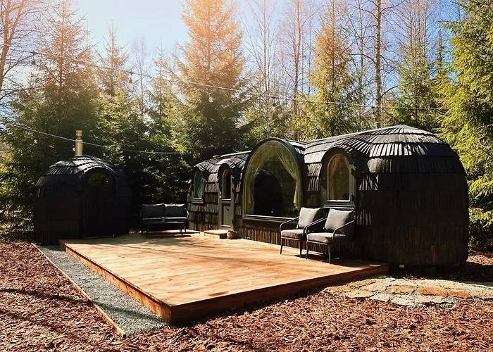 Pedaspae Igloo House And Sauna