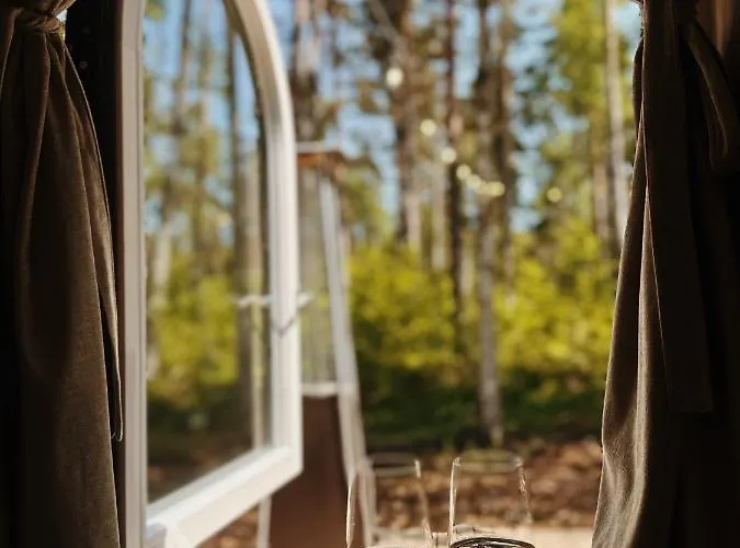 Pedaspae Igloo House And Sauna *