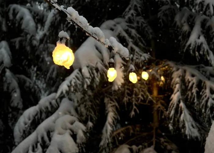 Pedaspae Igloo House And Sauna *