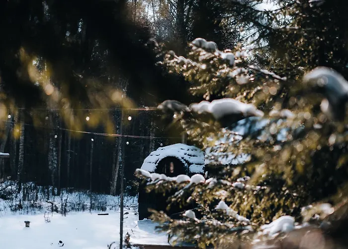 Pedaspae Igloo House And Sauna Semesterbostad *