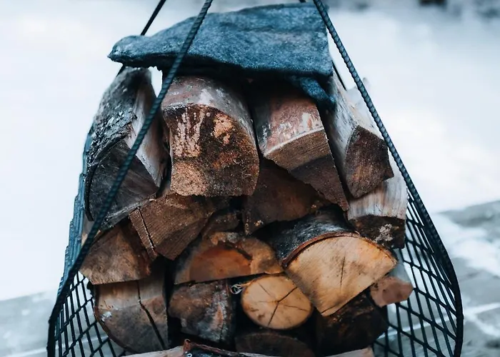 Pedaspae Igloo House And Sauna *