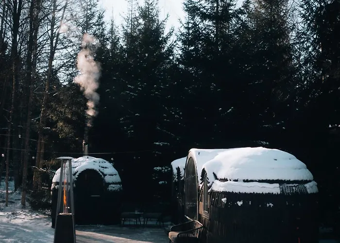 Pedaspae Igloo House And Sauna *