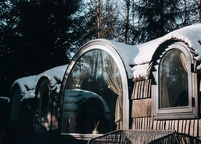 Pedaspae Igloo House And Sauna *